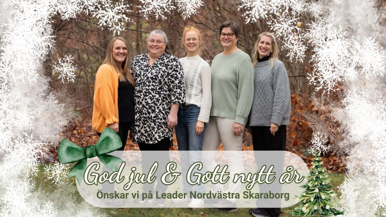 Gruppbild på leaderkontorets personal med tillagd julskrud
